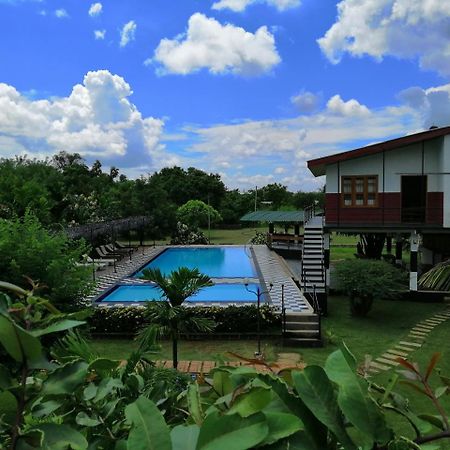 Eco Hotel Black & White - Anuradhapura Михинтейл Екстериор снимка