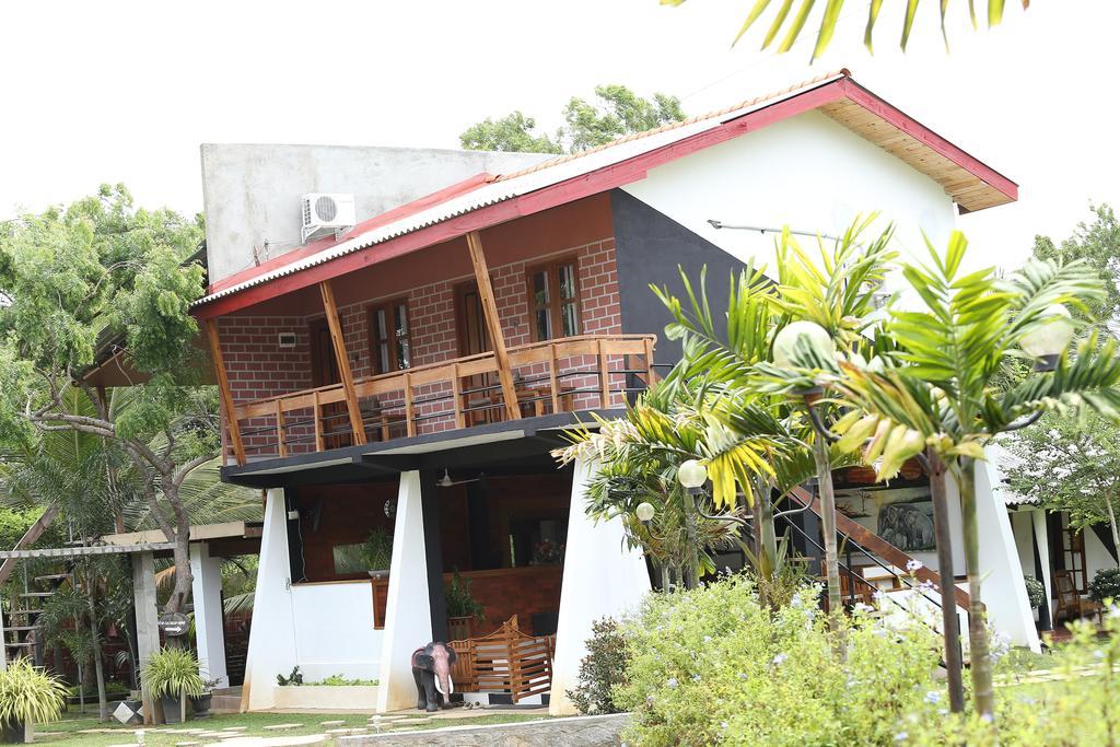 Eco Hotel Black & White - Anuradhapura Михинтейл Екстериор снимка