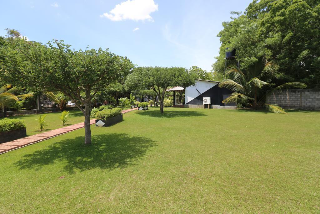 Eco Hotel Black & White - Anuradhapura Михинтейл Екстериор снимка