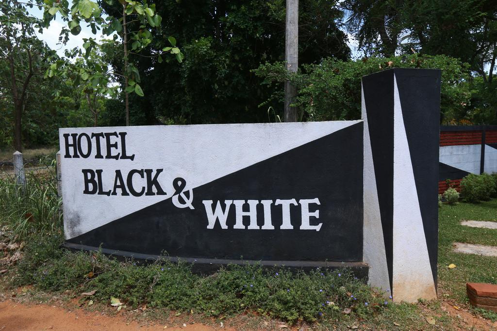 Eco Hotel Black & White - Anuradhapura Михинтейл Екстериор снимка