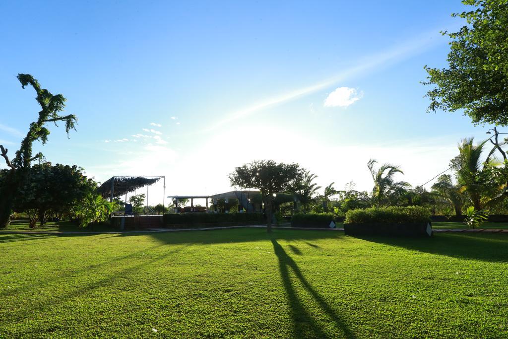 Eco Hotel Black & White - Anuradhapura Михинтейл Екстериор снимка