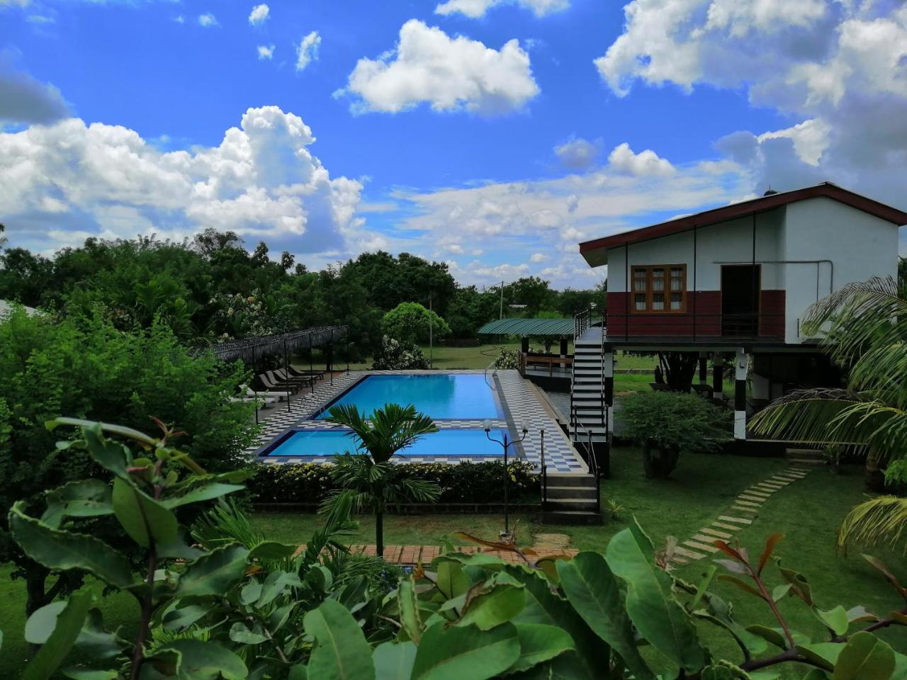 Eco Hotel Black & White - Anuradhapura Михинтейл Екстериор снимка