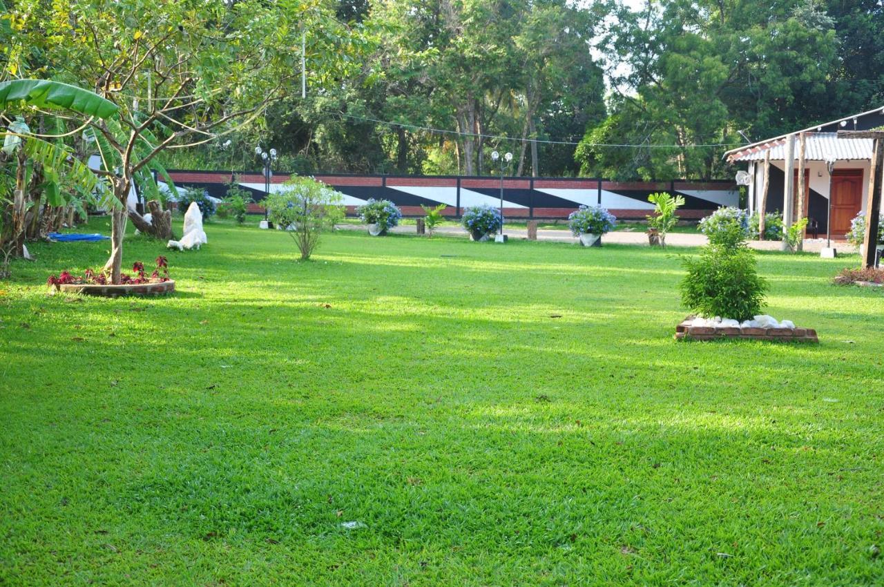Eco Hotel Black & White - Anuradhapura Михинтейл Екстериор снимка